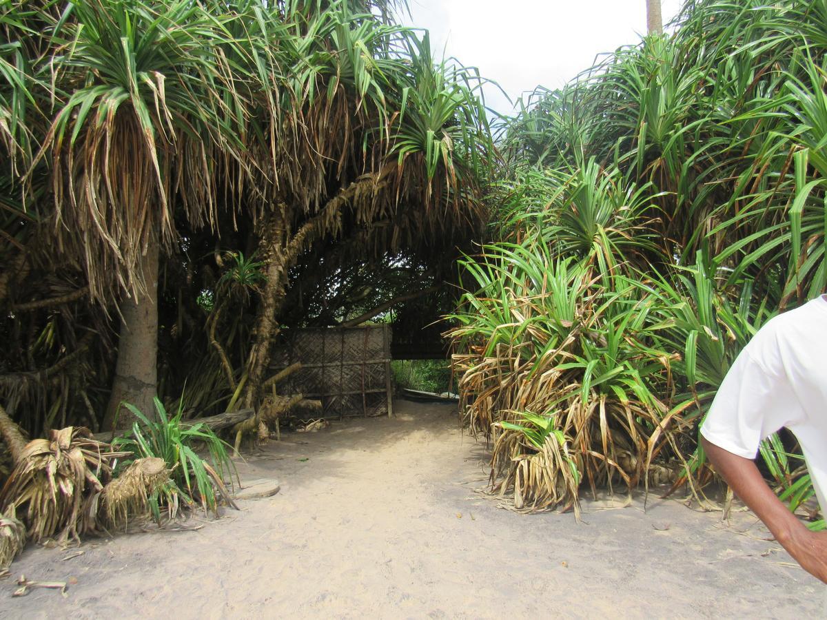 Leatherback Beach Villa Ahungalla Extérieur photo