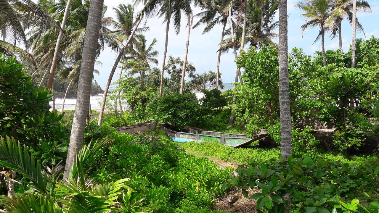 Leatherback Beach Villa Ahungalla Extérieur photo
